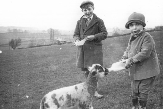 Frank as a boy feeding a lamb, my father Joe behind him