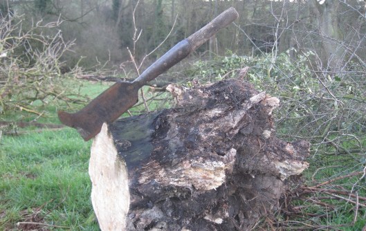 A bill hook used for pleaching