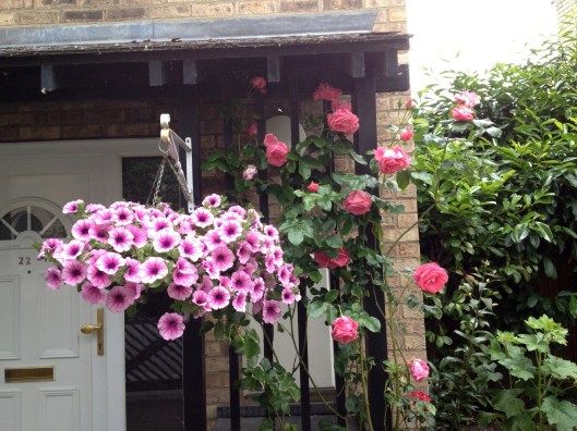 Flowers in Newnham, Cambridge
