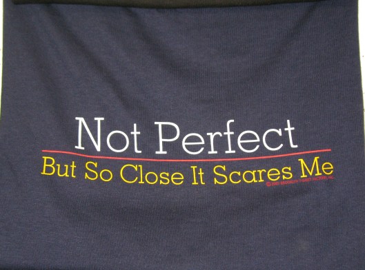 t-shirts: Not Perfect But So Close It Scares Me