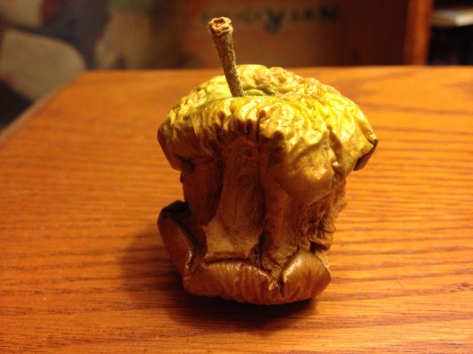 A dessicated apple core