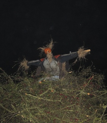 The Guy on top of the Bonfire