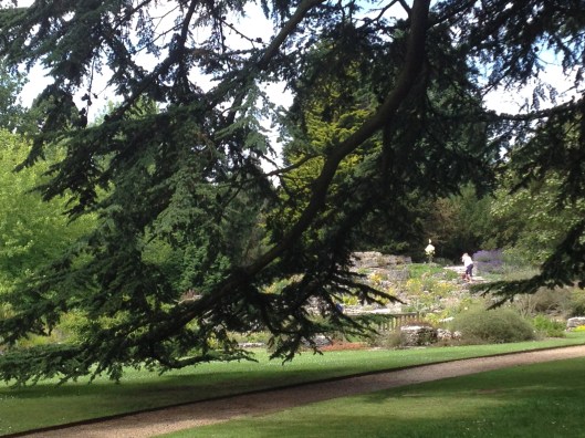 a vista at the Botanical Garden