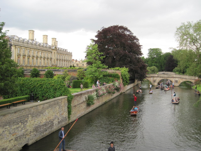 colleges and punting