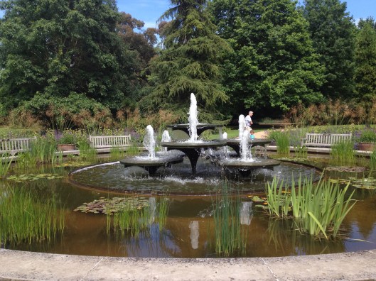 fountains at the Botanical Garden