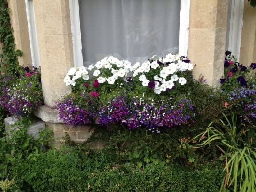 Flowers, flowers everywhere.