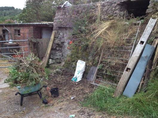 IMG_7454 farmyard post nettles