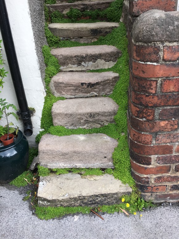 Green steps.