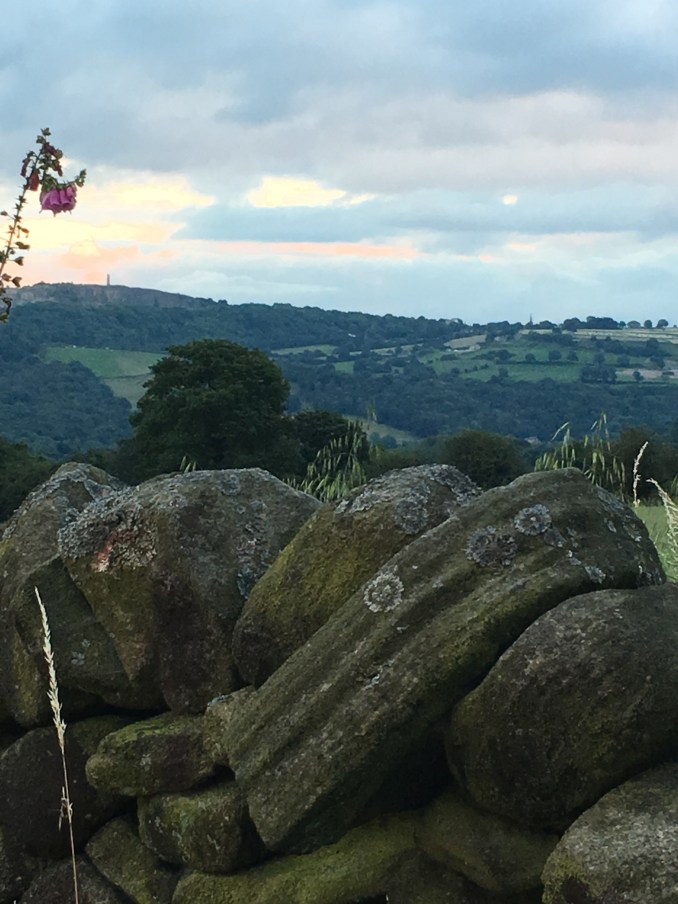 View over the valley from a stone wall.