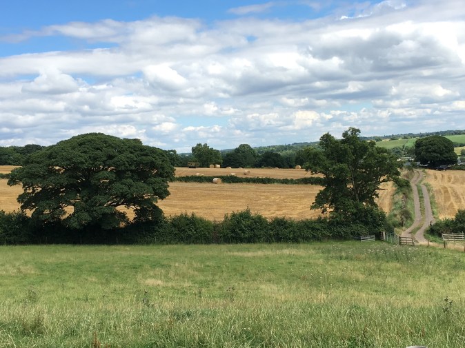 The end of the harvest.