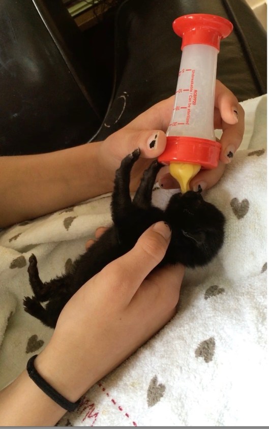 Screen Shot 2016-07-07 at 12.20.09 PM